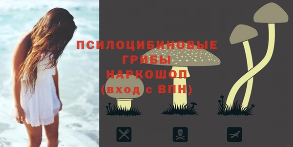 мдпв Навашино