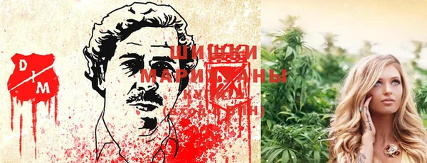 мдпв Навашино