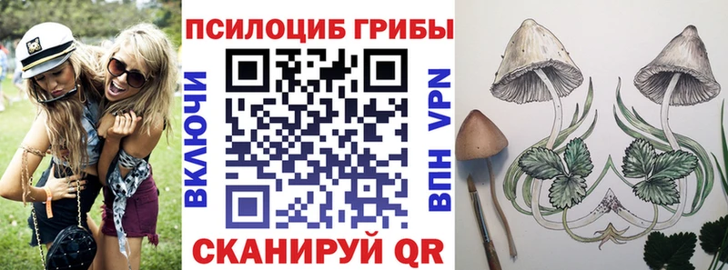 Галлюциногенные грибы мицелий  где найти наркотики  Красавино 
