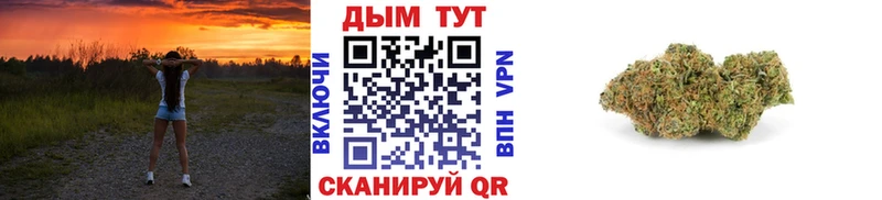 Бошки марихуана конопля  omg   Красавино  где купить наркоту 